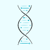 Endocrinology-icon