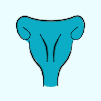 women-health-problems-icon